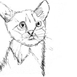 Katze in meinem Sketch Stil skizziert.