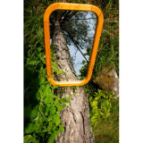 gespiegelter Baum